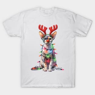 Christmas Red Nose Cornish Rex Cat T-Shirt